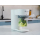 MOMINI Multiblender parowy YummyMaker 5w1 ze szklaną misą - 1588374 - zdjęcie 8